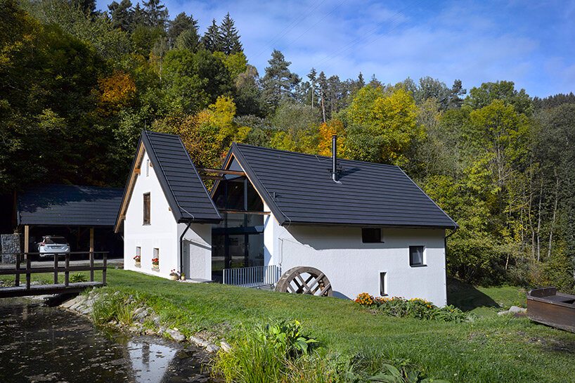 Stoletá rostlina se rozdělila na dům v zeleném rybníku v Česku