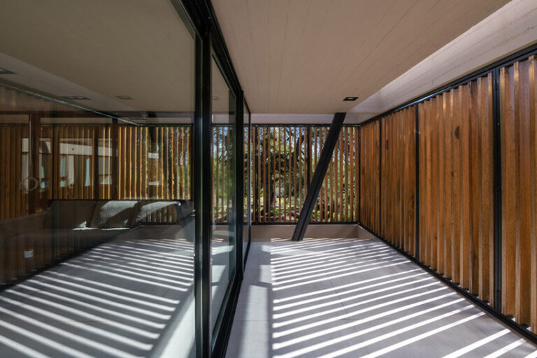 this house by barrionuevo villanueva floats among argentina's forested ...