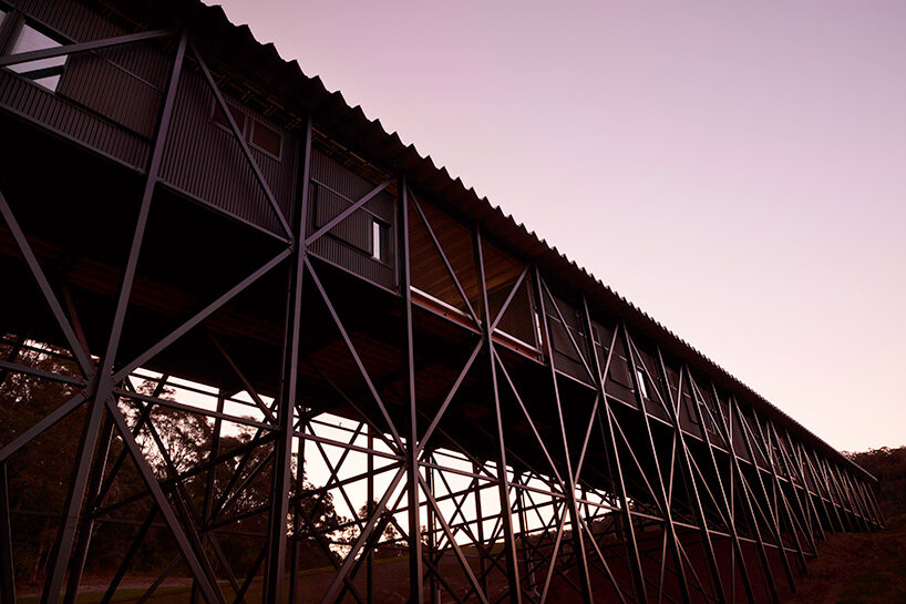 bundanon's new art museum and bridge for creative learning are built to endure climate change