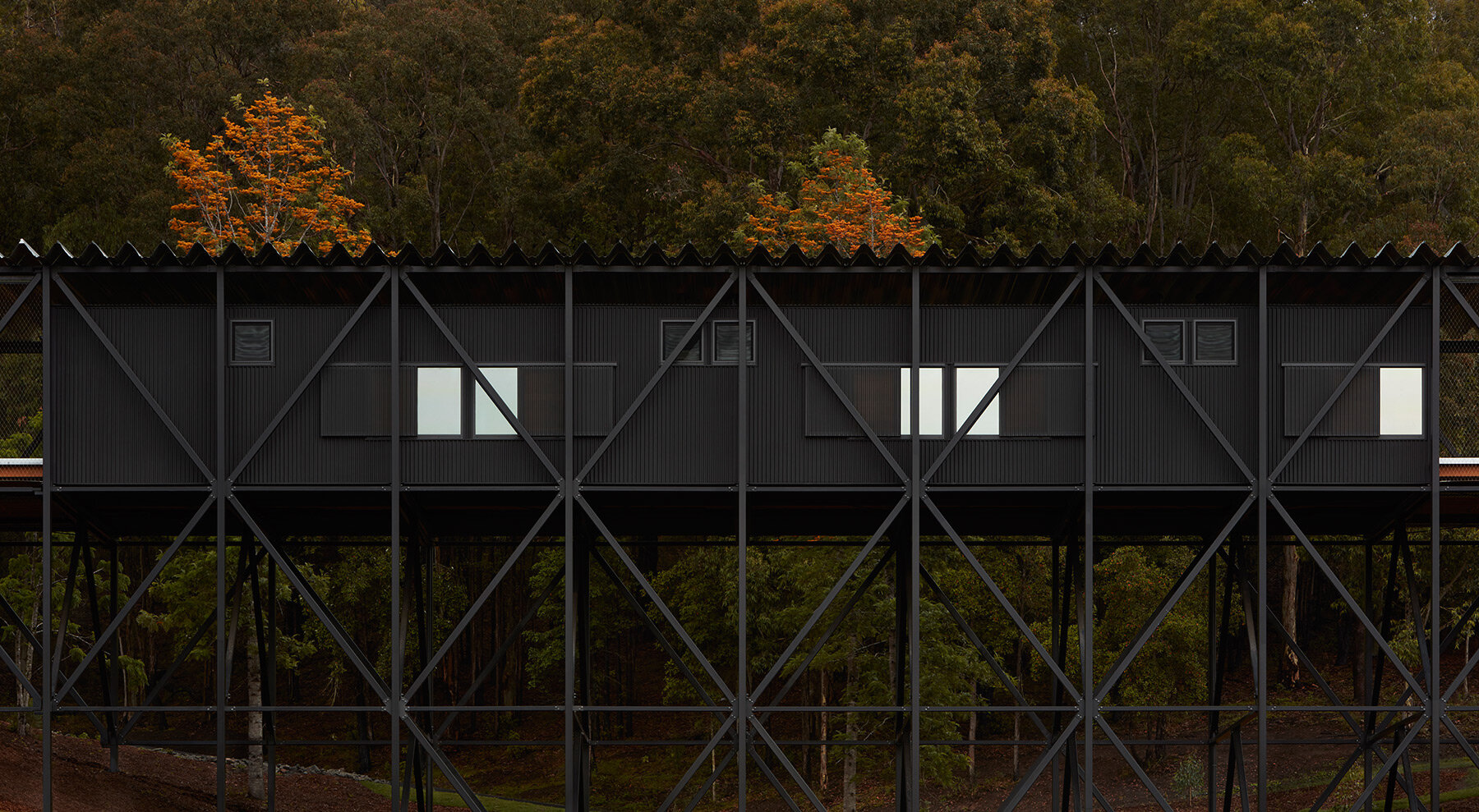 bundanon-art-museum-bridge-creative-learning-endure-climate-change-designboom-full