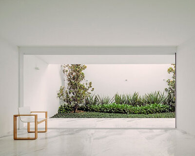 cut out patios add green pops into cota paredes arquitectos' la piedad house in mexico