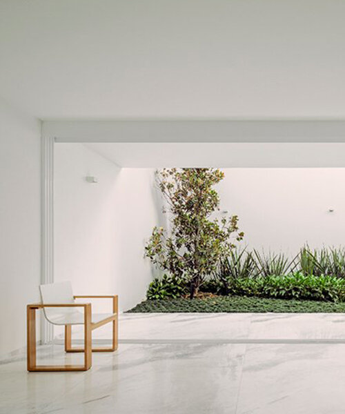 cut out patios add green pops into cota paredes arquitectos' la piedad house in mexico