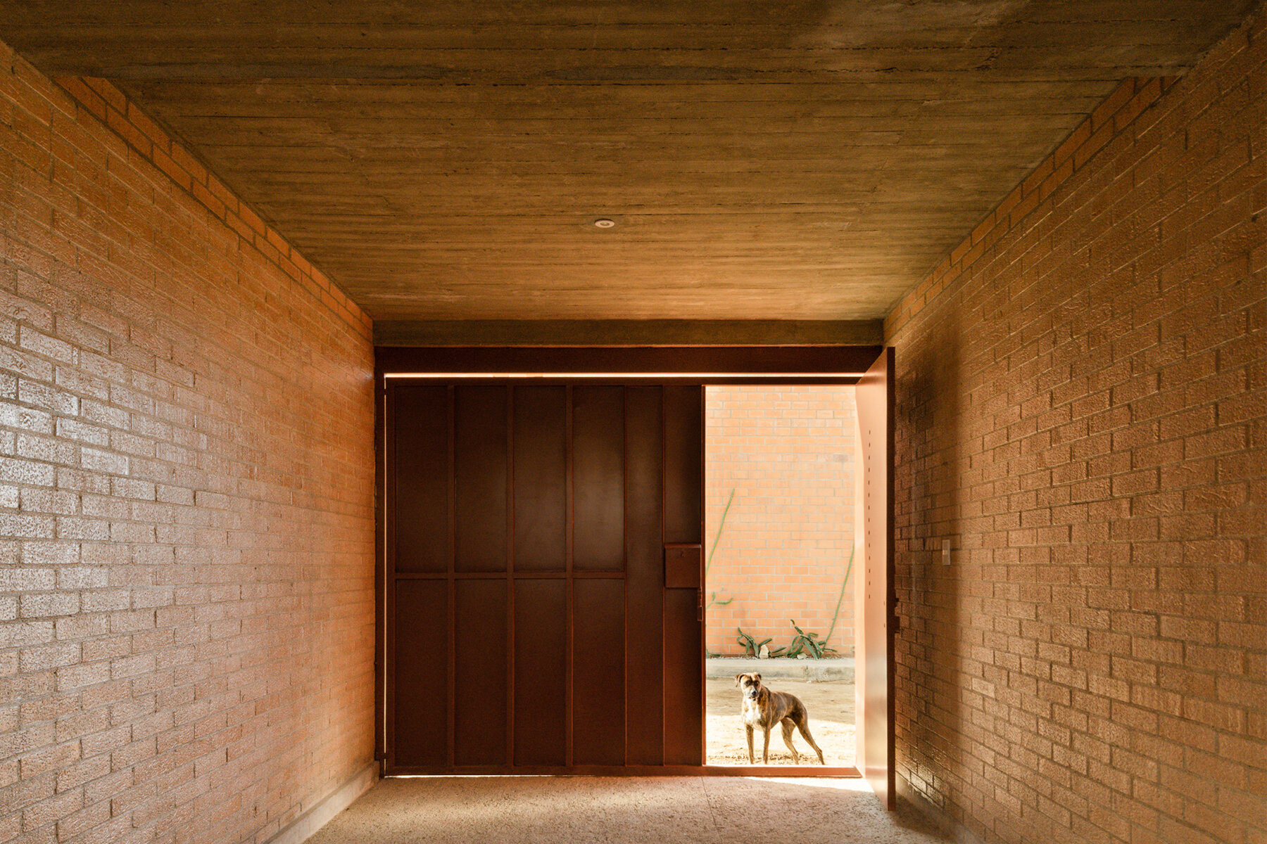 espacio-18-arquitectura-cuatas-mexico-designboom-21800