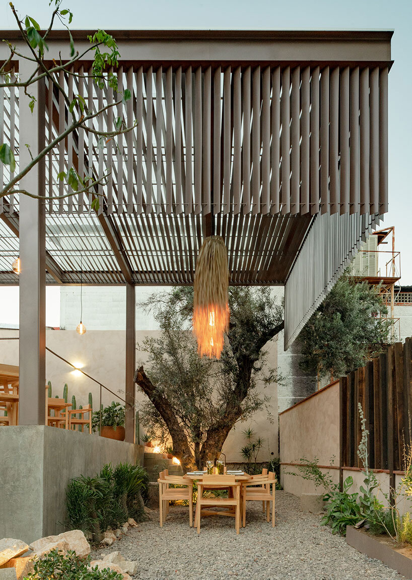 espacio 18 transforma fábrica de pintura en restaurante infundido con cactus en México