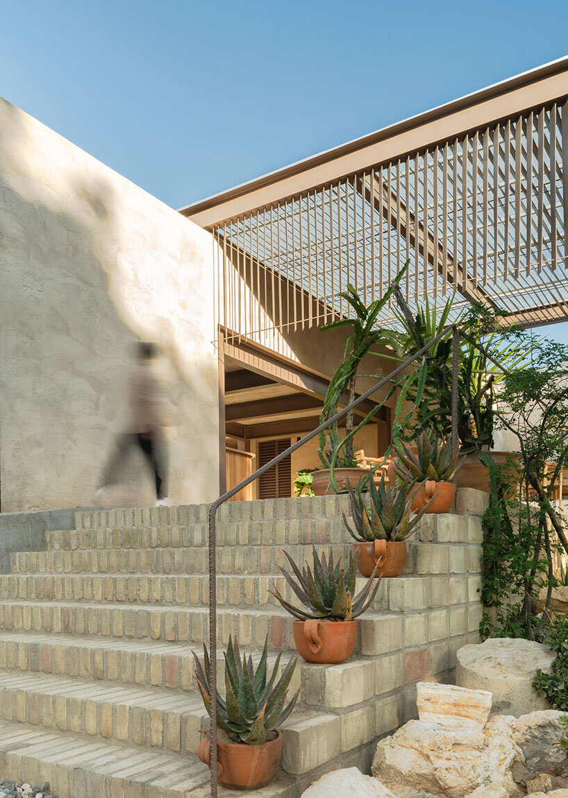 espacio 18 transforma fábrica de pintura en restaurante infundido con cactus en México