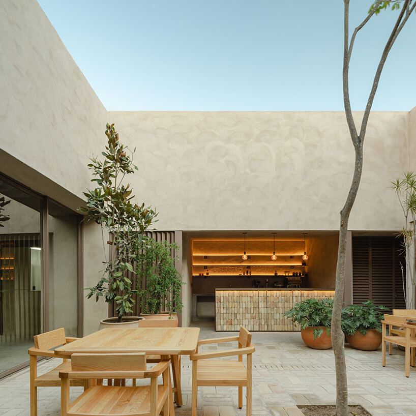 espacio 18 turns painting factory into a cacti-infused restaurant in mexico