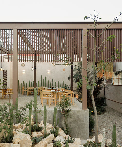 espacio 18 turns painting factory into a cacti-infused restaurant in mexico