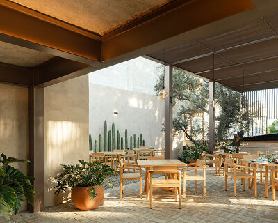 espacio 18 turns painting factory into a cacti-infused restaurant in mexico
