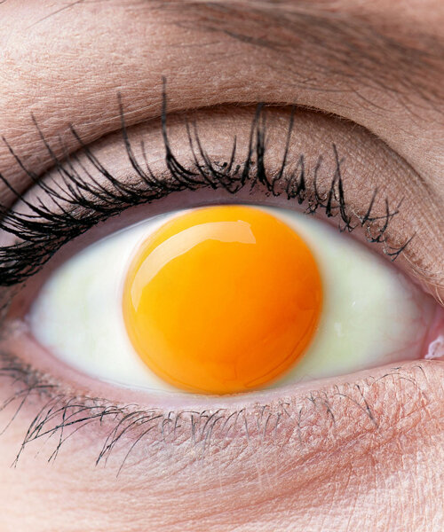 eyes become windows to nature - and eggs - in jyo john mulloor's digital artwork