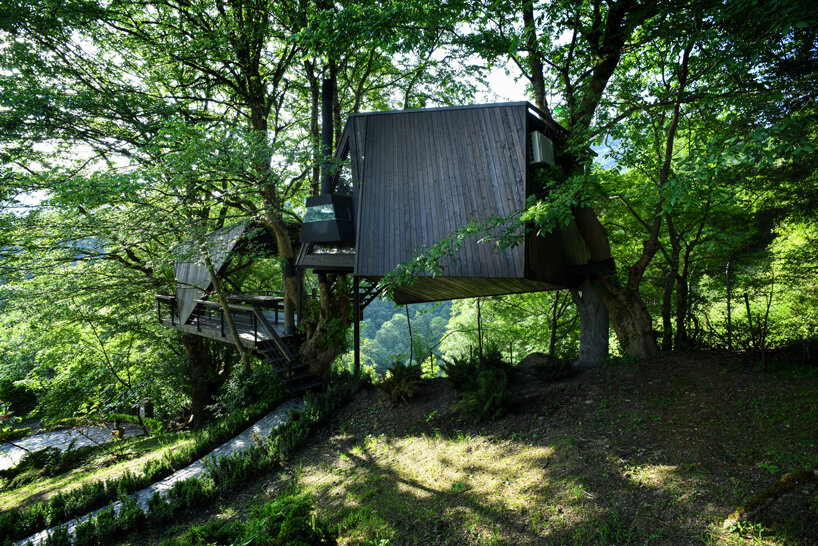 shaygan gostar designs treehouse in iran to evoke natural branch lines