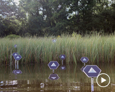 tane is a self-reliant 'digital organism' that can survive in nature without human interference