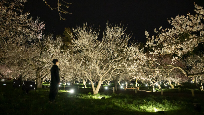 teamLab digitizes nature for interactive light experience in a japanese garden