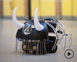 cookies and algorithms become robotic creatures in 'accept all' exhibition