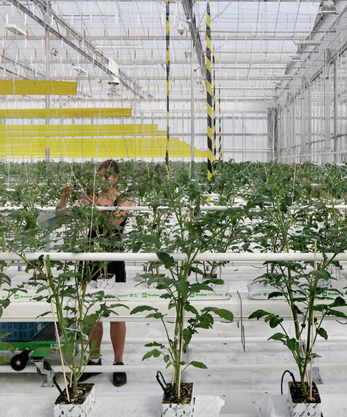 set in belgium, agrotopia is europe's largest research center for urban horticulture