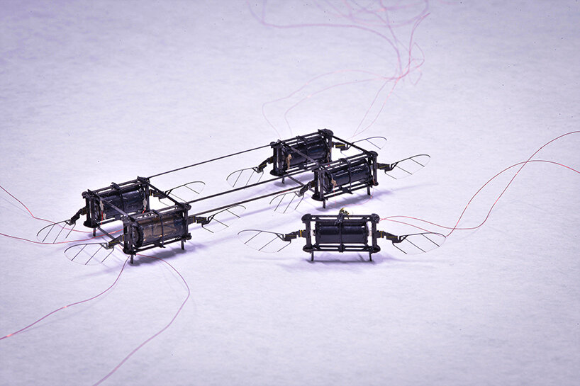 MIT researchers optimize record-breaking insect-sized flying microrobots