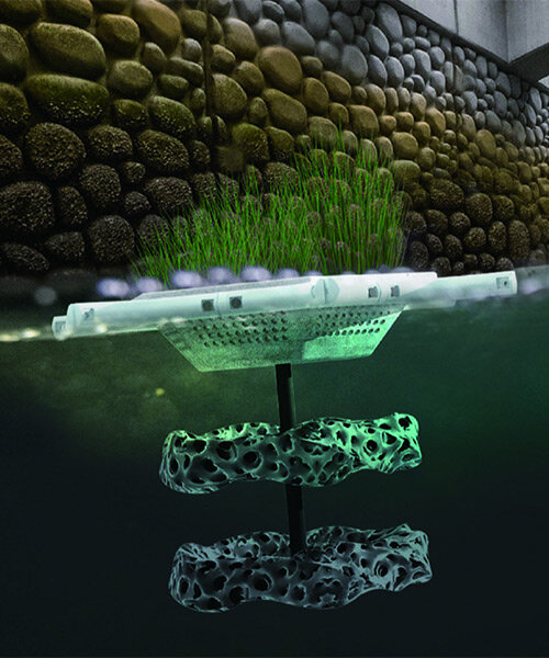 'C-ecology' concept proposes 3D printed coral reef ecosystem to revitalize urban rivers