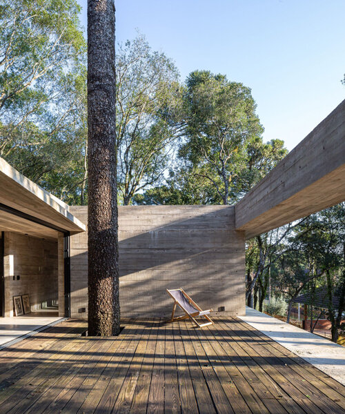 a tree grows in brazil, through this 'fortunata house' by luciano lerner basso
