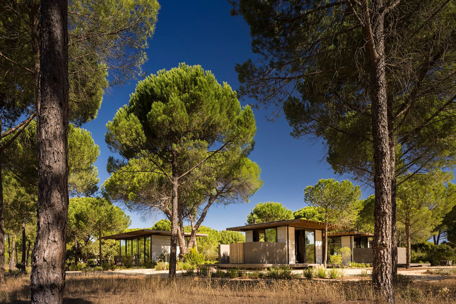mja-house-PM-ARQ-designboom-full-width-02