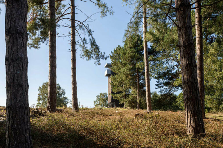 This Viewing Platform Brings Sweeping Views Of Burial Ground Sutton Hoo