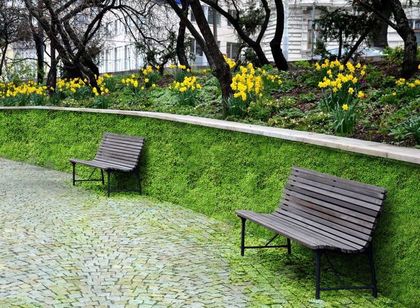 moss grows on concrete, empowering cities to respire and live green