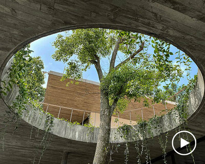 three-generation family house blends into pine tree forest in vietnam