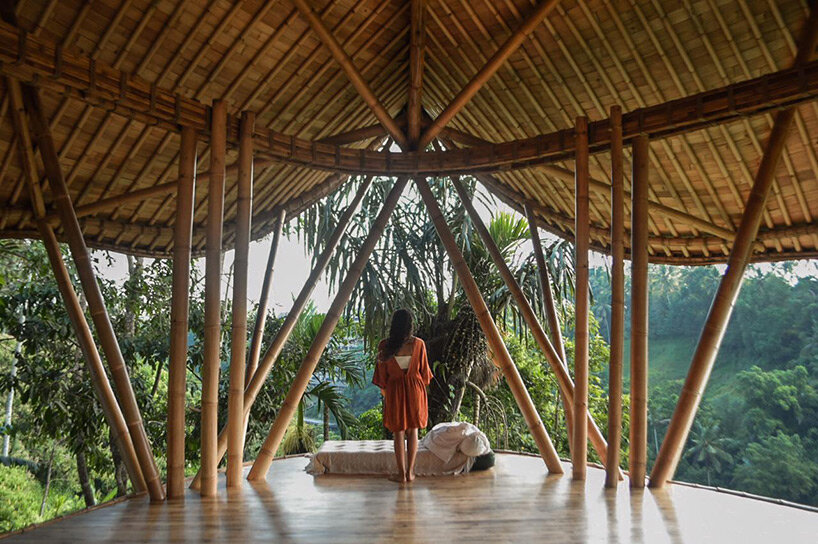 undulating bamboo canopy tops oval teahouse by pablo luna within lush  jungle in bali