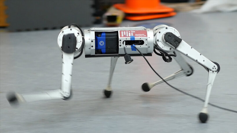 watch: MIT's mini cheetah robot teaches itself how to run