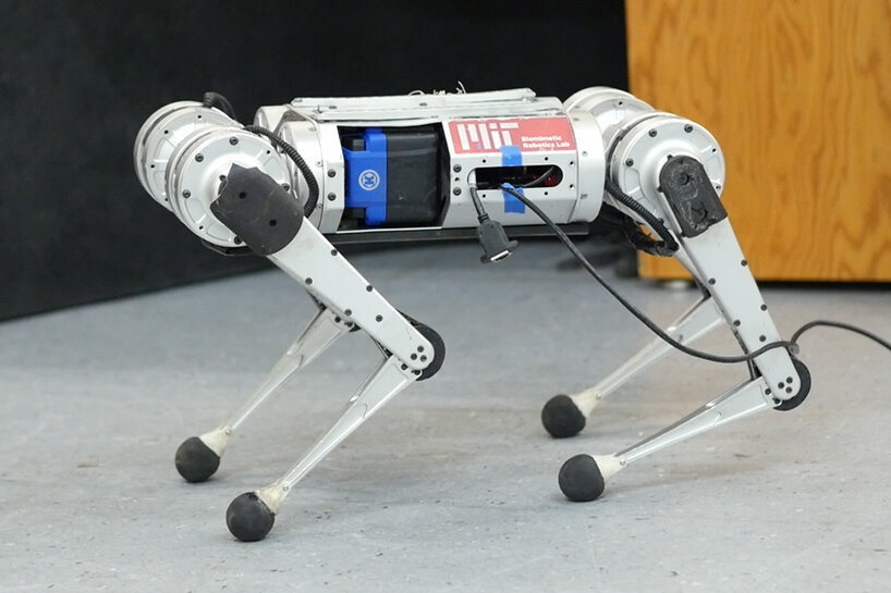 watch: MIT's mini cheetah robot teaches itself how to run