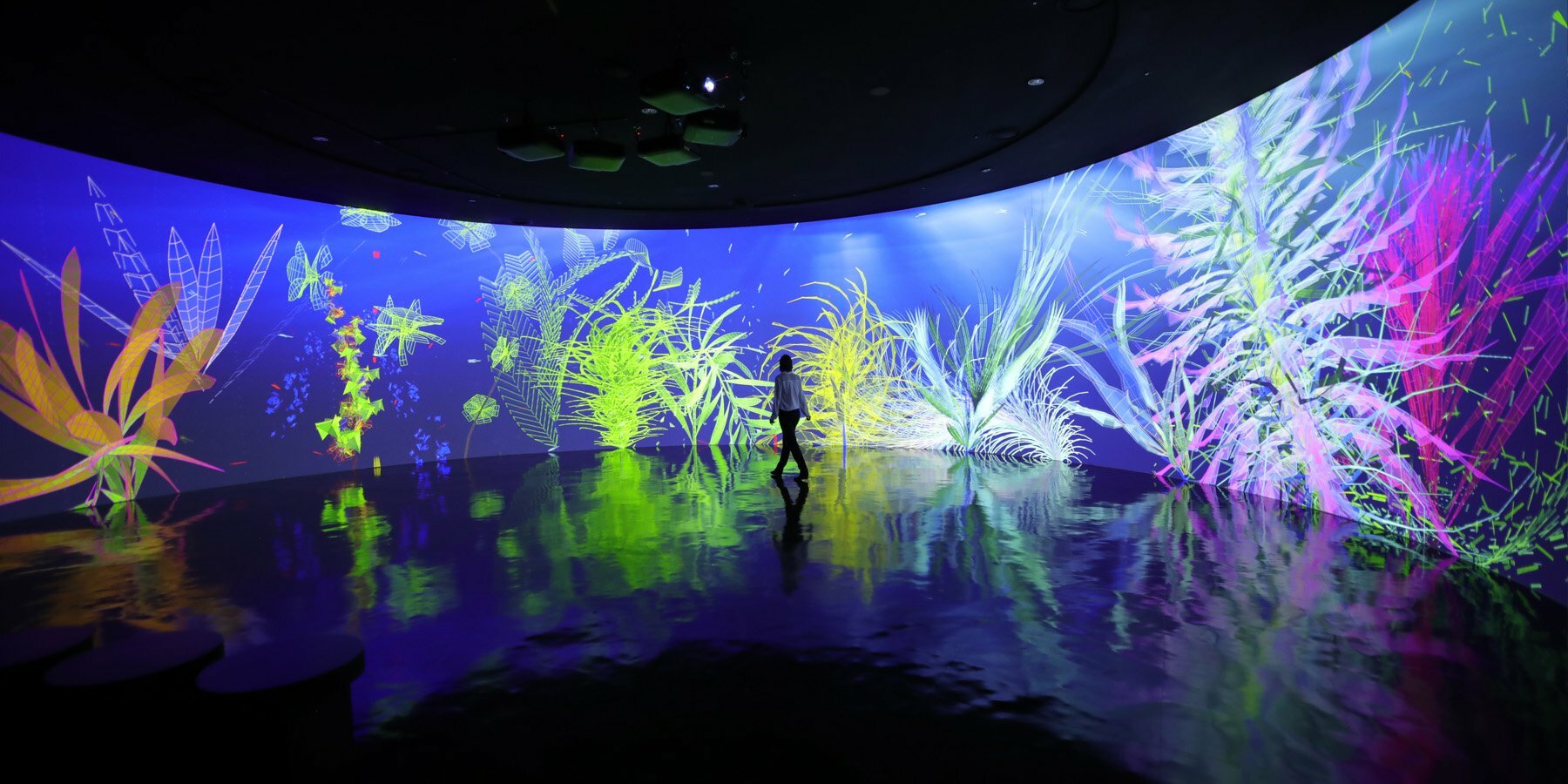 miguel chevalier unveils immersive marine-inspired VR installations for ...