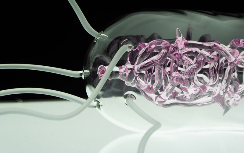 luke jerram's intricate glasswork series depicts some of the most fatal viruses