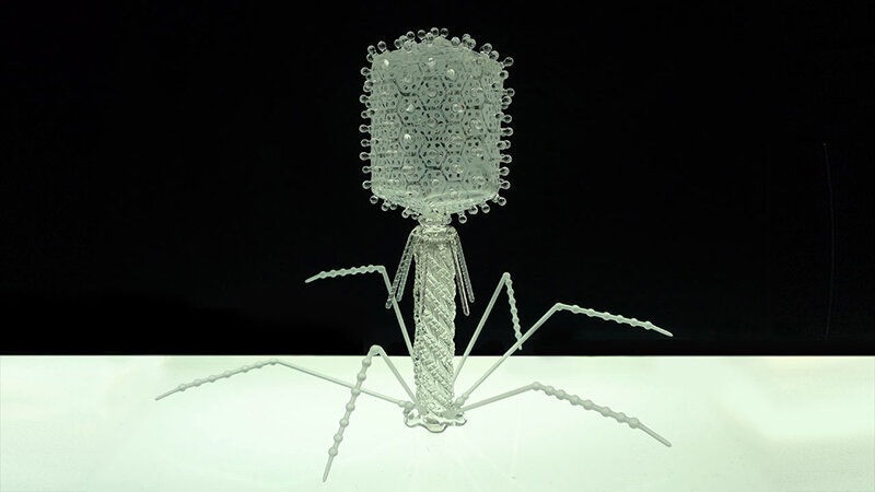 luke jerram's intricate glasswork series depicts some of the most fatal viruses 