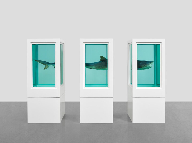 natural history: damien hirst's iconic formaldehyde sculptures on view at gagosian london