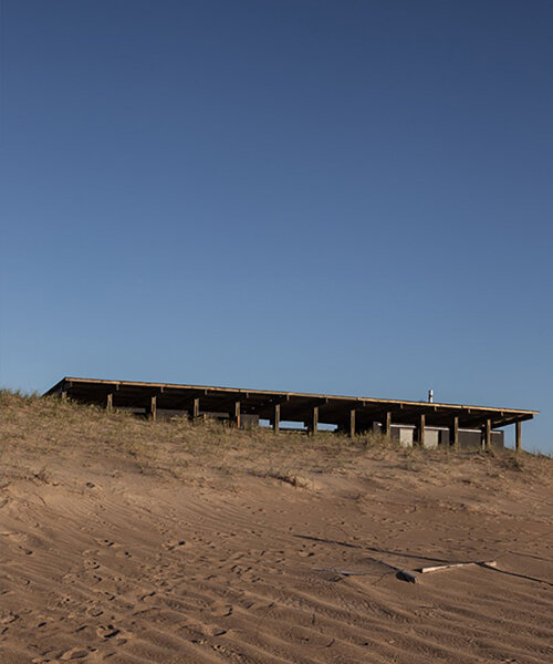'punta rubia refuge' shielded by timber skeleton sits along coastline in uruguay