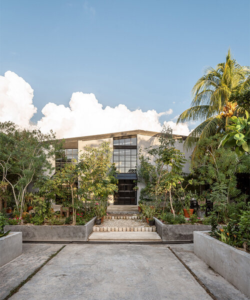 misael marin transforms mexican warehouse into plant-filled inn