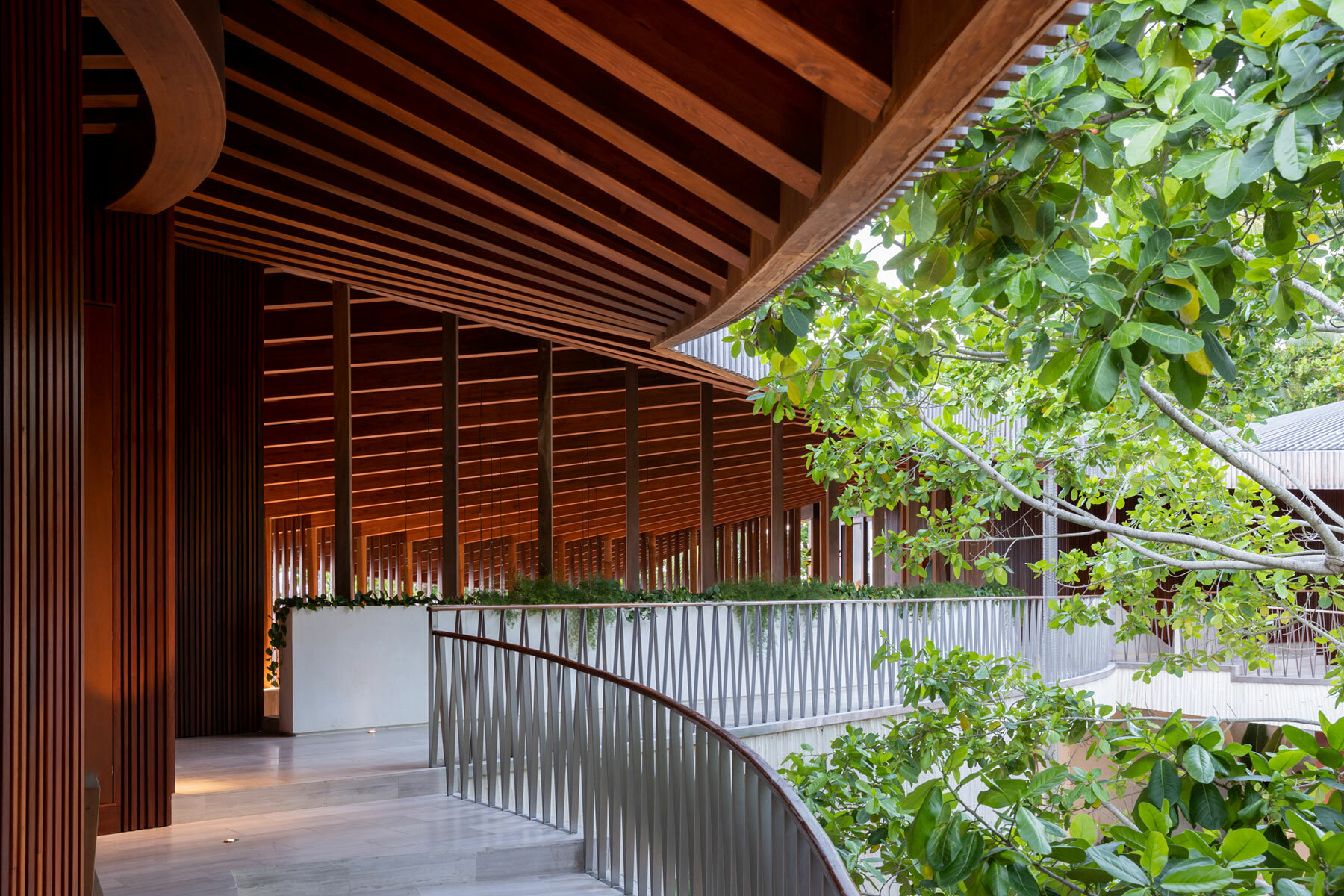 young projects tops its 'casa las olas' retreat house with an ...