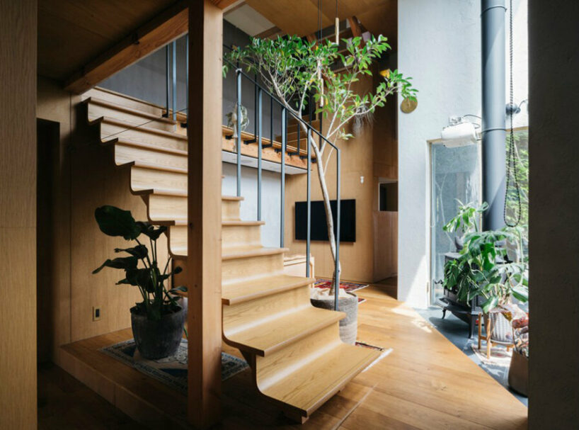 green patios cut out 'nightingale house' in suburban japan