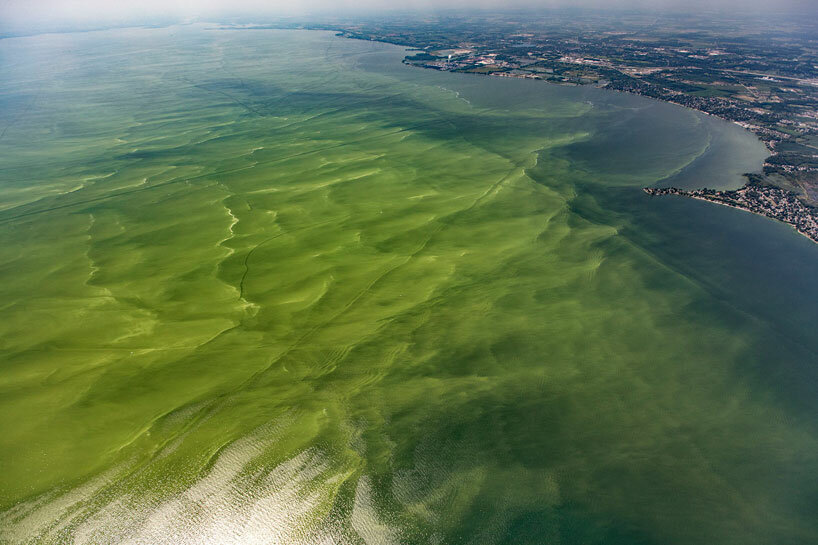 une entreprise britannique cultive d'énormes bassins d'algues pour séquestrer le carbone à l'échelle de la gigatonne