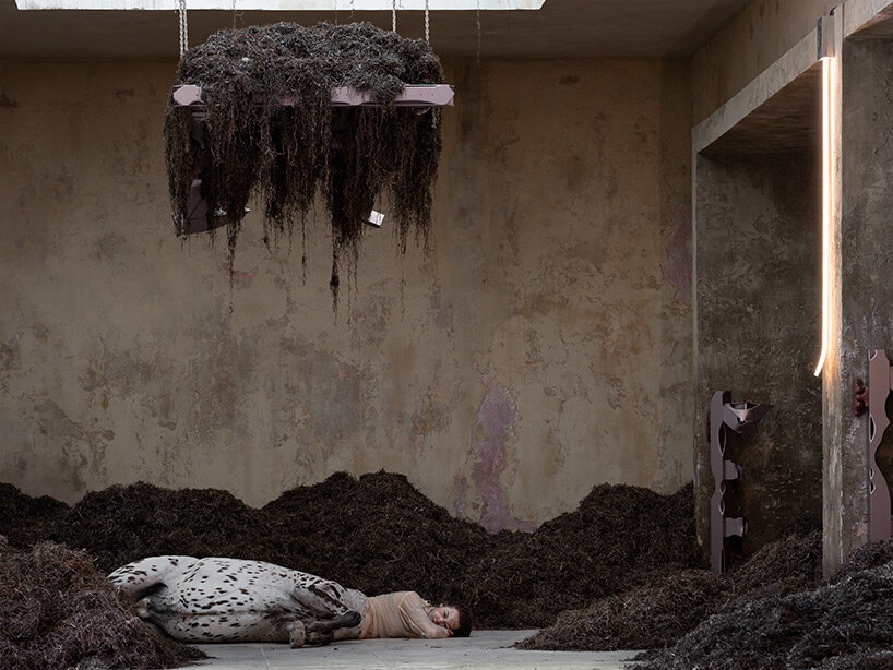 danish pavilion unveils transhuman installation 'we walked the earth' at venice art biennale