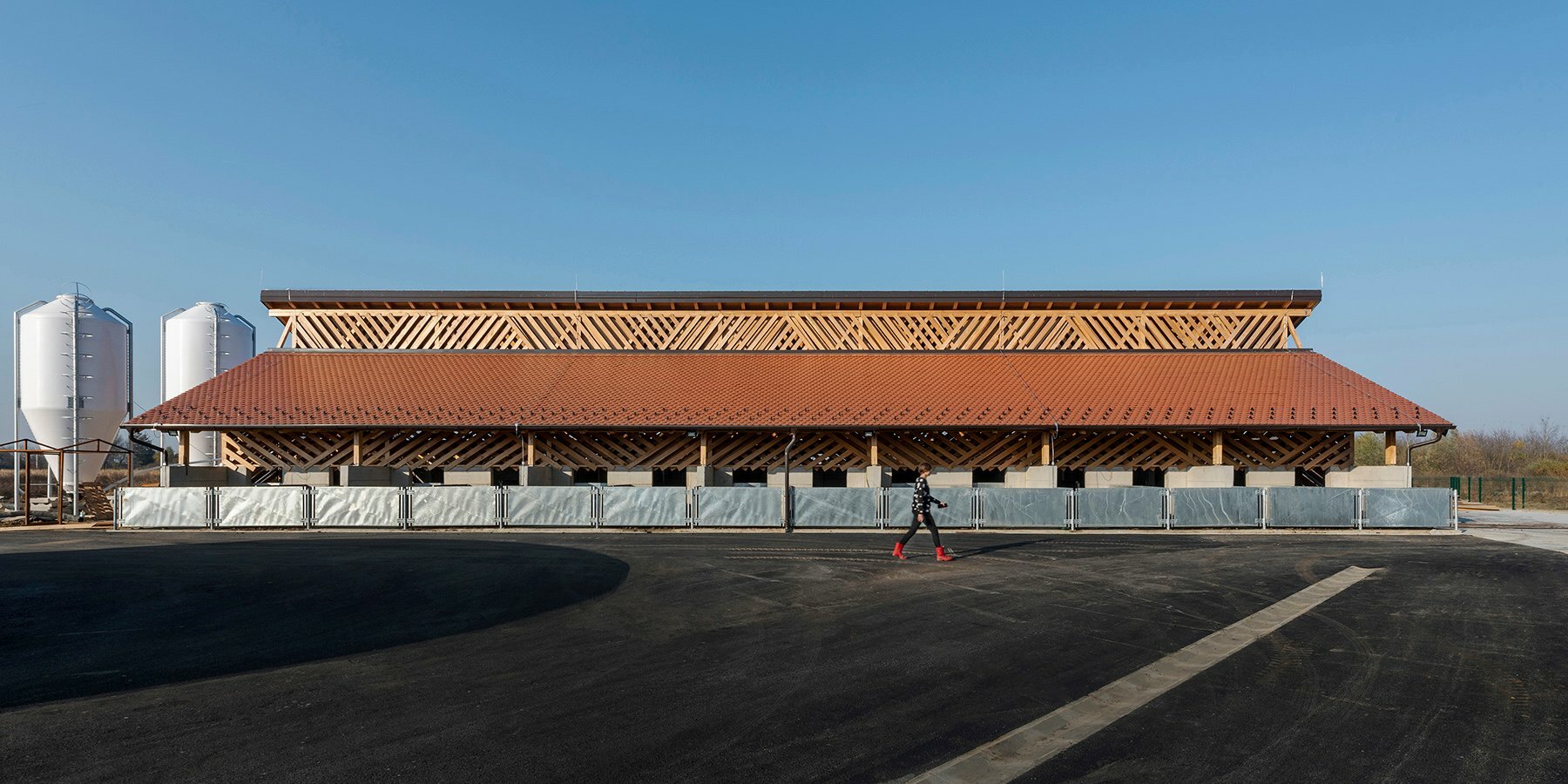 eco-farm-croatia-black-slavonian-pigs-skroz-designboom-1800