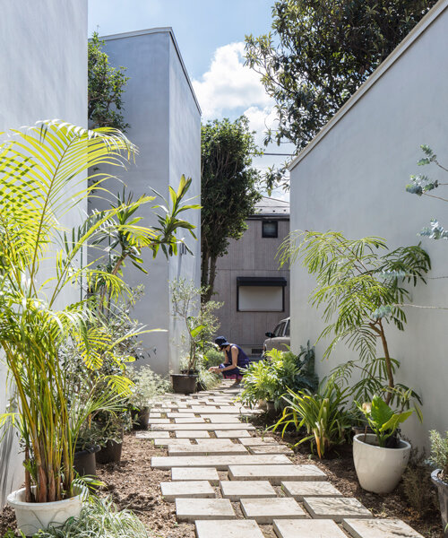 DOG's 'folding screen row house' creates a garden micro-village in tokyo
