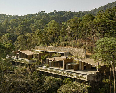 nestled atop steep hills, these twin houses in mexico weave into their forested context
