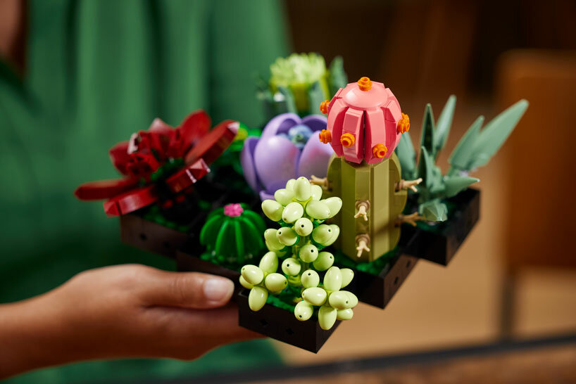 Beautiful LEGO Orchid And Succulents Sets Designed To Help Adults