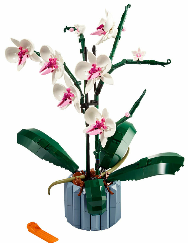 LEGO adds orchids and succulents to its botanical collection