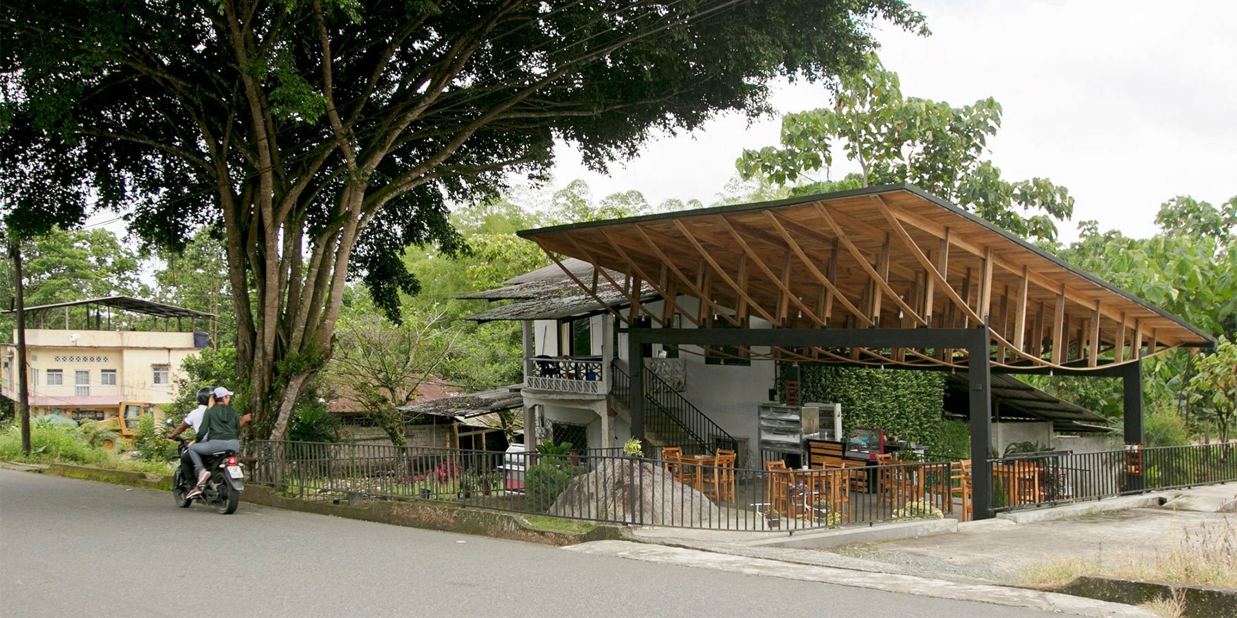 natura-futura-ficus-alto-designboom-1800-2