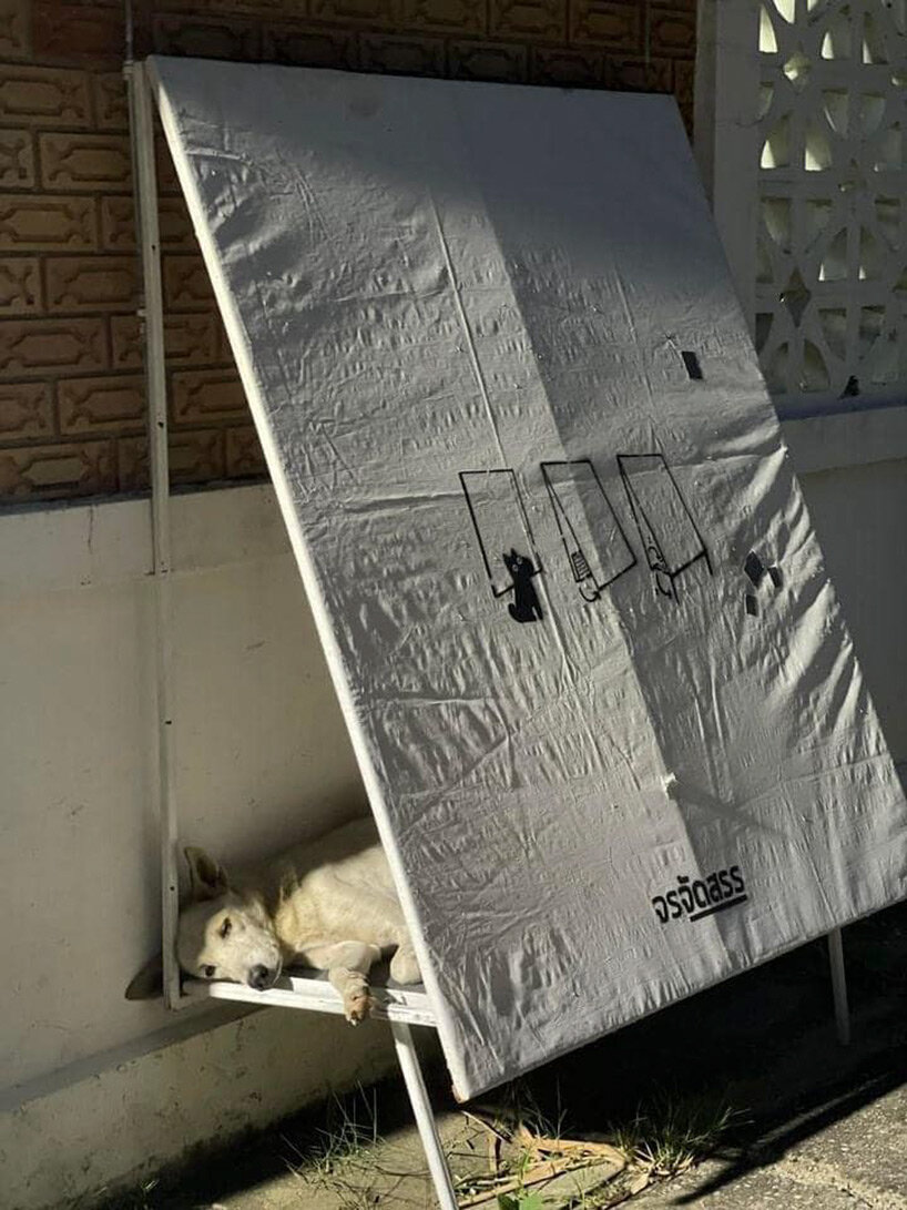 stray dogs in thailand find shelter in folding structures made from repurposed billboards