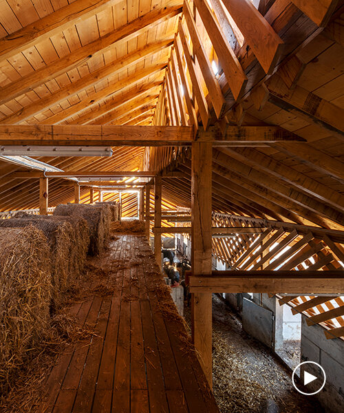 SKROZ architecture's eco pig farm in croatia redefines common livestock spaces