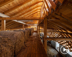 SKROZ architecture's eco pig farm in croatia redefines common livestock spaces
