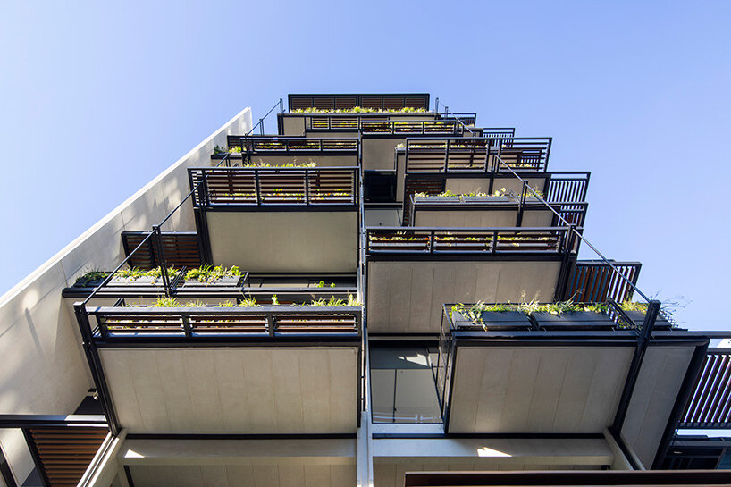 studio saxe's passive residential tower with green terraces rises in costa rican urban context