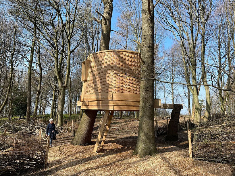 the 'sylvascope' treehouse by sebastian cox explores woodland care in the UK