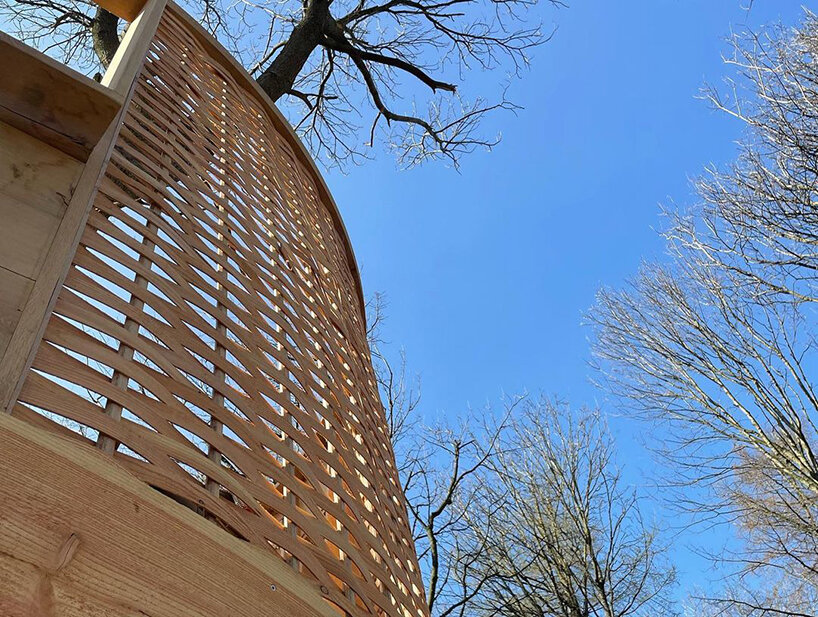the 'sylvascope' treehouse by sebastian cox explores woodland care in the UK